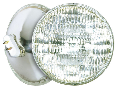 Light Bulb in Clear (230|S4811)