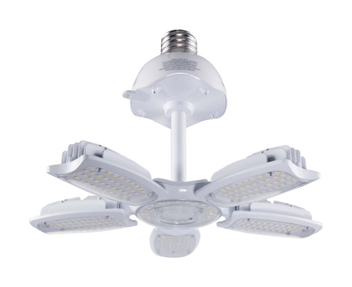 Light Bulb in Clear (230|S39752)