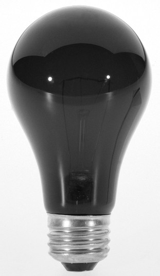 Light Bulb in Black (230|S3920)