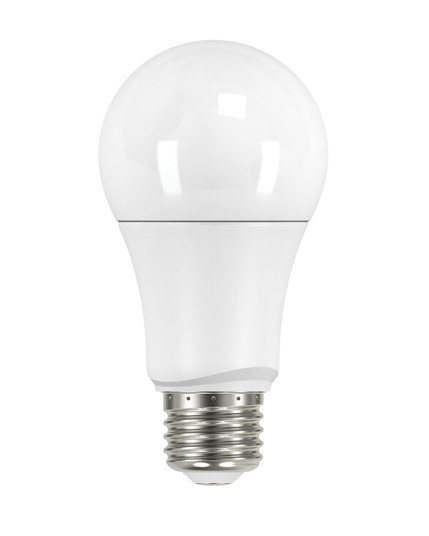 Light Bulb in Frost (230|S29629)