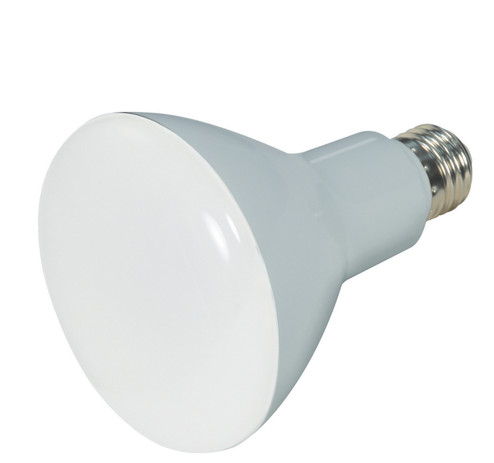 Light Bulb in Frost (230|S28547)