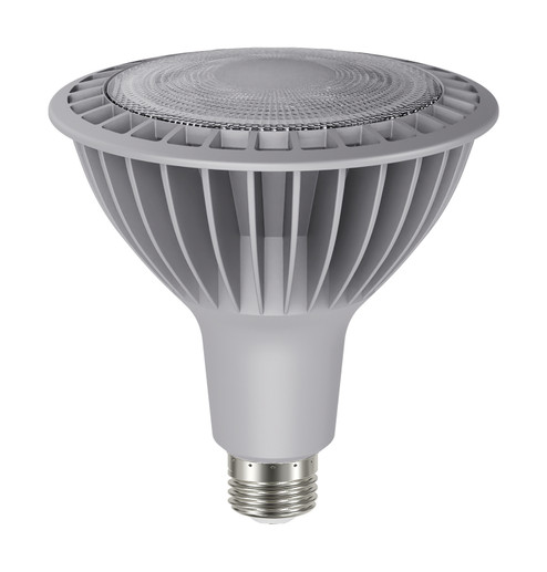 Light Bulb in Silver (230|S22252)