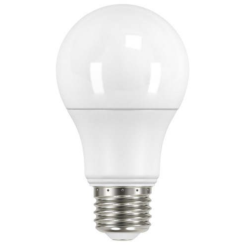 Light Bulb in Frost (230|S11451)