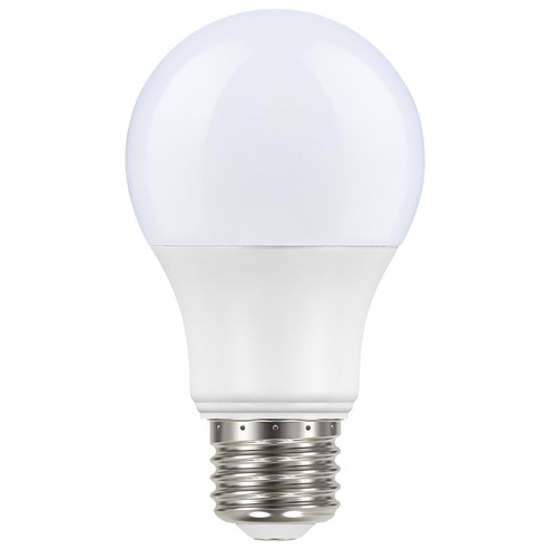 Light Bulb in White (230|S11429)