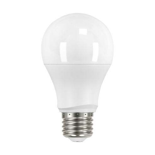 Light Bulb in Frost (230|S11427)
