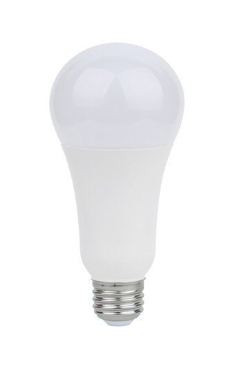 Light Bulb in Frost (230|S11329)