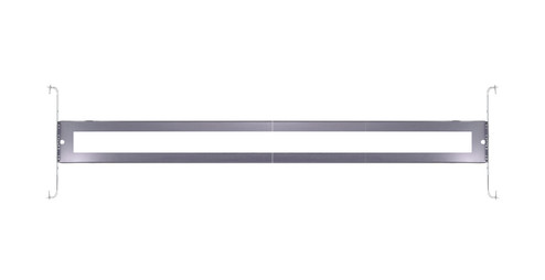 Rough-In Plate / Bars 48'' Line in Silver (230|80966)
