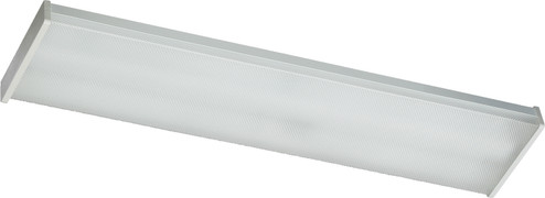 Ceiling Mount Wrap Series Two Light Ceiling Mount in White (19|8214826)