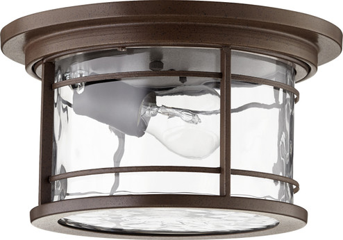 Larson One Light Outdoor Lantern in Oiled Bronze w/ Clear Hammered Glass (19|391611186)