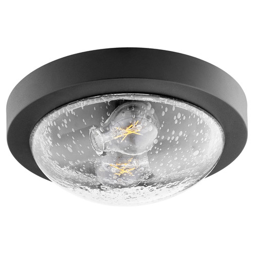 3502 Contempo Ceiling Mounts Two Light Ceiling Mount in Textured Black w/ Clear/Seeded (19|35021169)