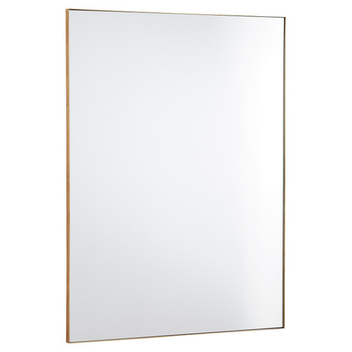 Rectangular Mirrors Mirror in Gold Finished (19|11304021)