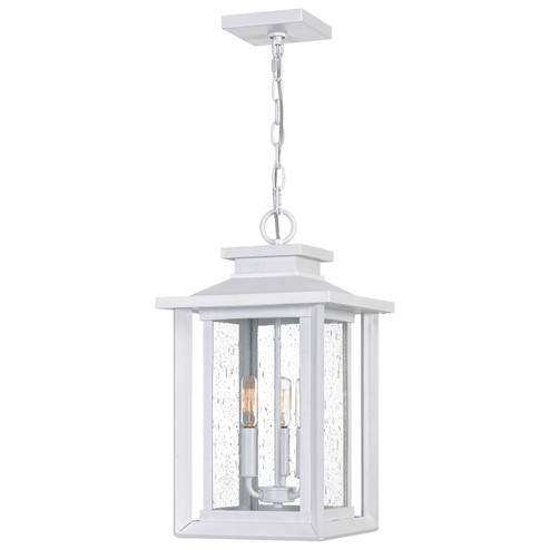 Wakefield Three Light Outdoor Hanging Lantern in Matte White (10|WKF1911W)