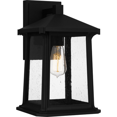 Satterfield One Light Outdoor Wall Mount in Matte Black (10|SAT8409MBK)