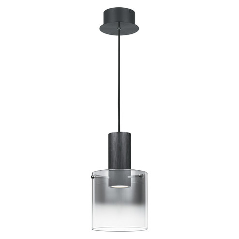 Kilmer LED Mini Pendant in Earth Black (10|PCKR1508EK)