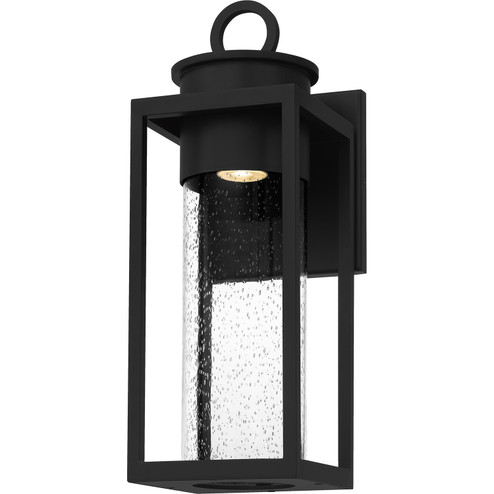 Donegal One Light Outdoor Wall Mount in Matte Black (10|DGL8407MBK)