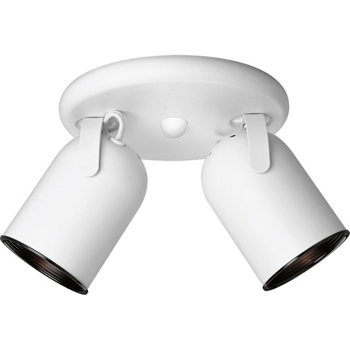 Directional Two Light Wall/Ceiling Mount in White (54|P614930)