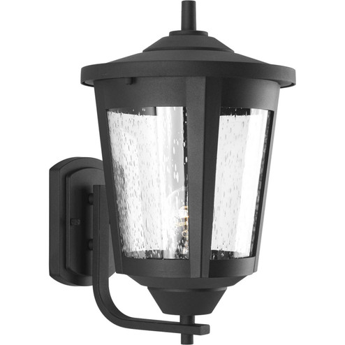 East Haven One Light Wall Lantern in Black (54|P607531)