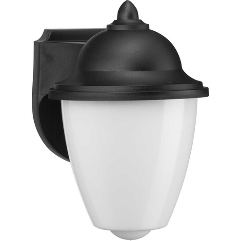Polycarbonate Outdoor One Light Wall Lantern in Black (54|P584431)