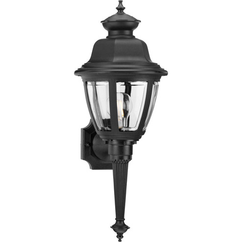 Non-Metallic Incandescent One Light Wall Lantern in Black (54|P573831)
