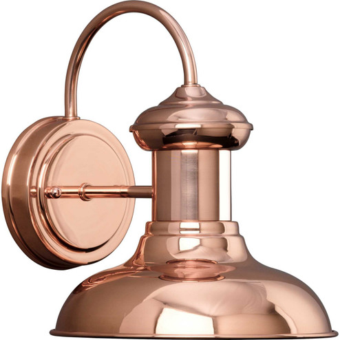 Brookside One Light Wall Lantern in Cognac (54|P572114)