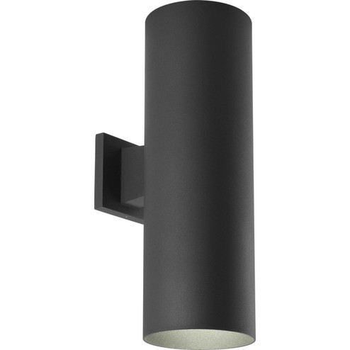 Cylinder Two Light Wall Lantern in Black (54|P564231)