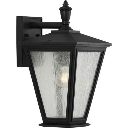 Cardiff One Light Wall Lantern in Black (54|P560167031)