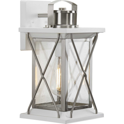 Barlowe One Light Wall Lantern in Stainless Steel (54|P560156135)