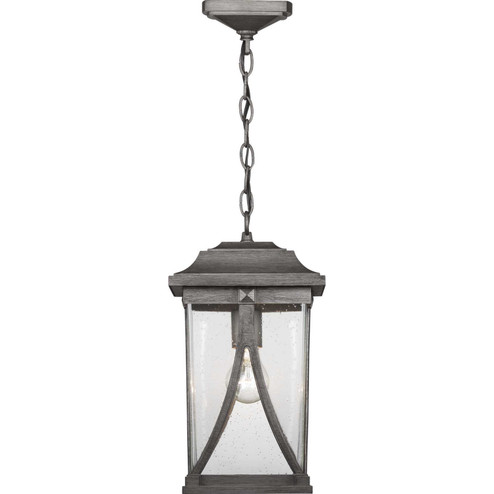 Abbott One Light Hanging Lantern in Antique Pewter (54|P550040103)
