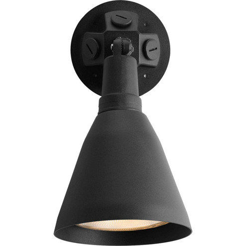 Par Lampholder One Light Wall Lantern in Black (54|P520231)