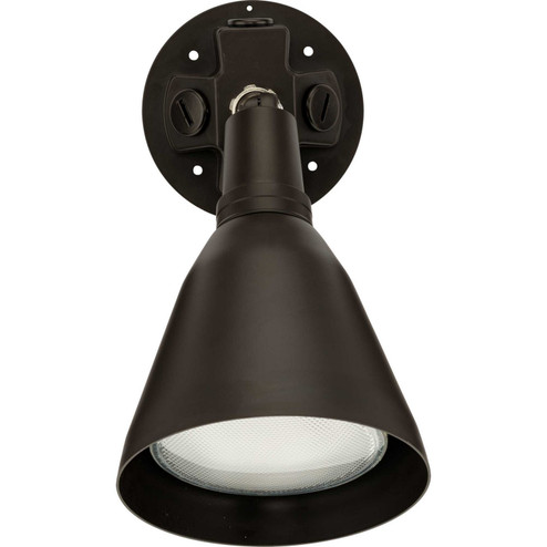 Par Lampholder One Light Wall Lantern in Antique Bronze (54|P520220)