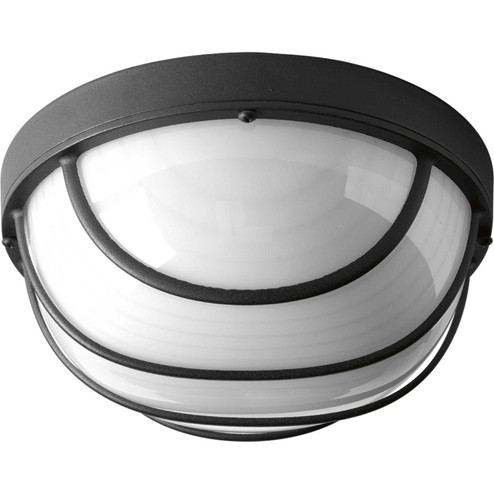 Bulkheads Led LED Flush Mount in Black (54|P36503130K9)