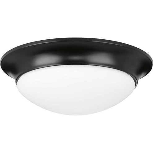Etched Opal Dome Two Light Flush Mount in Black (54|P350147031)