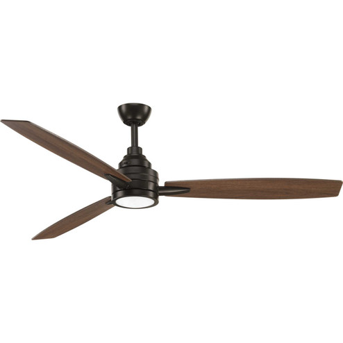 Gaze 60'' Ceiling Fan in Antique Bronze (54|P25542030K)