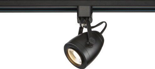 LED Track Head in Black (72|TH414)