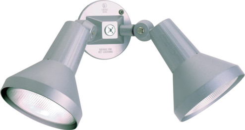 Two Light Floodlight in Gray (72|SF77703)