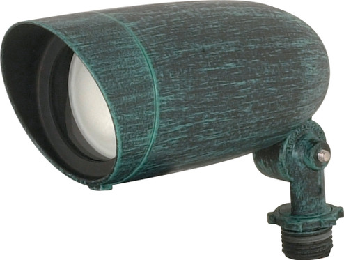 One Light Floodlight in Antique Verdigris (72|SF76655)