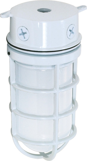 One Light Ceiling Mount in White (72|SF76616)