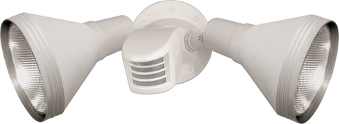 Two Light Floodlight in White (72|SF76530)