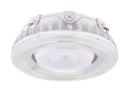 LED Canopy Fixture in White (72|65625)