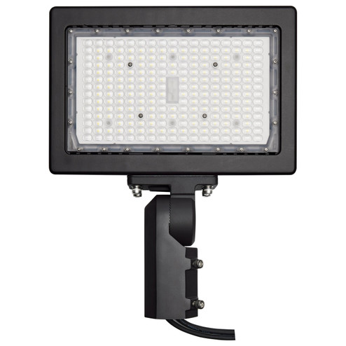 LED Flood Light in Bronze (72|65619R1)
