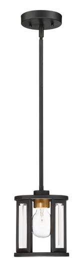 Payne One Light Mini Pendant in Midnight Bronze (72|606412)