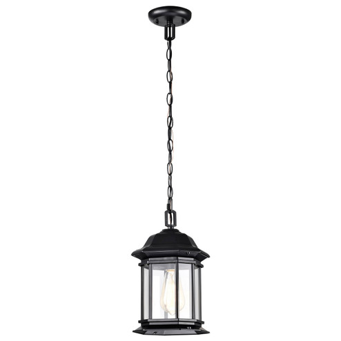 Hopkins One Light Outdoor Hanging Lantern in Matte Black (72|606117)