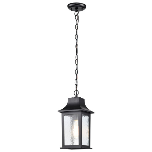 Stillwell One Light Outdoor Hanging Lantern in Matte Black (72|605958)