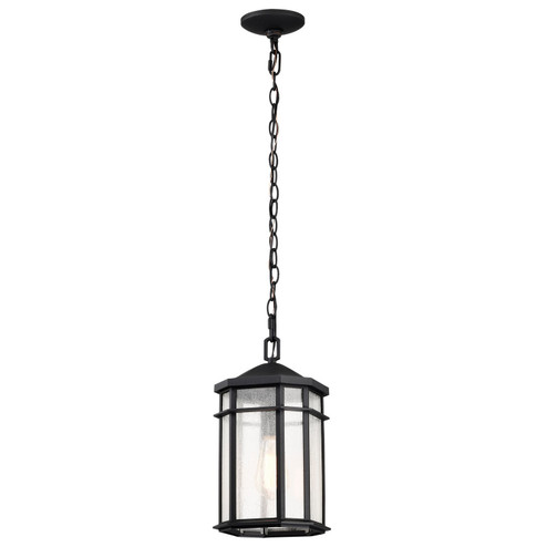 Raiden One Light Outdoor Hanging Lantern in Matte Black (72|605759)