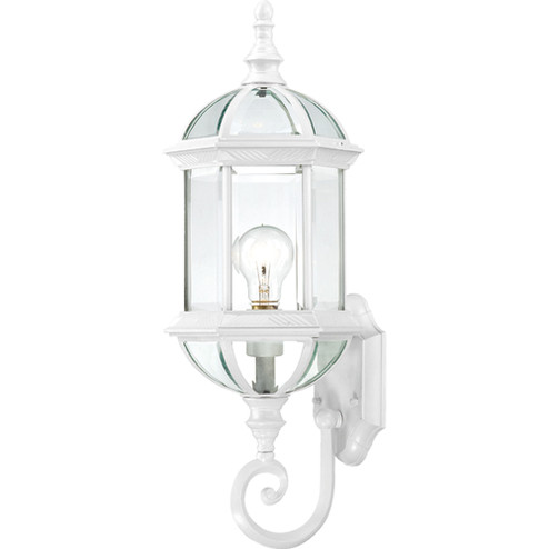 Boxwood One Light Wall Lantern in White (72|604971)