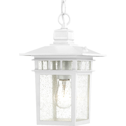 Cove Neck One Light Hanging Lantern in White (72|604954)