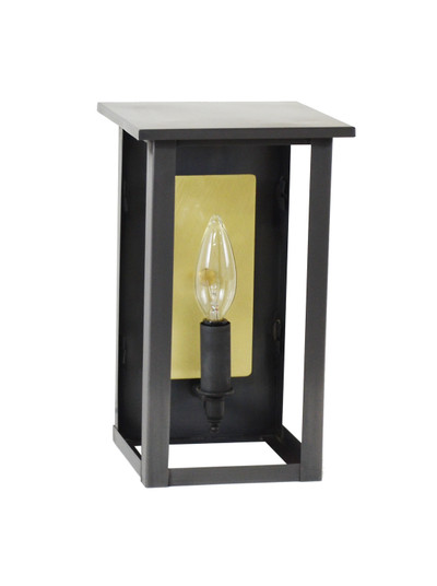 Ashford One Light Wall Lantern in Dark Brass (196|8961RDBLT1CLRBR63)