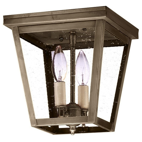 Flush Two Light Flush Mount in Dark Antique Brass (196|7324DABLT2CSG)
