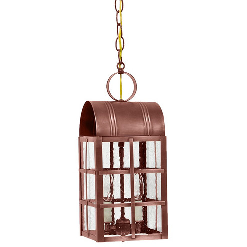 Adams Two Light Hanging Lantern in Antique Copper (196|6142ACLT2SMG)
