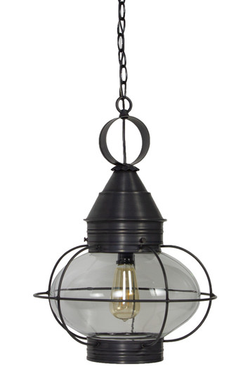 Onion One Light Hanging Lantern in Dark Brass (196|2572DBMEDCLR)
